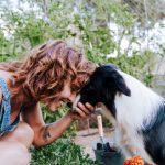 Sustainable Pet Products